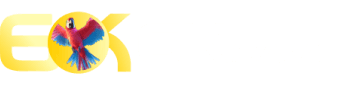 Aa999.com - 7t777
